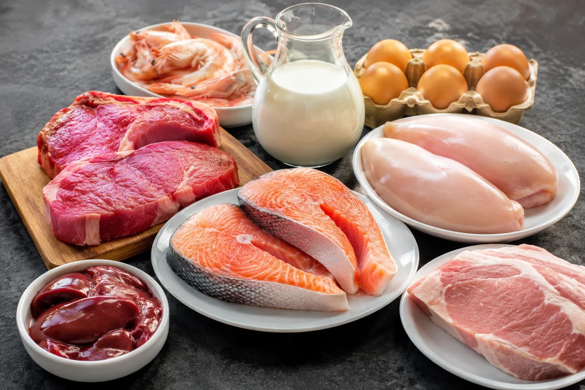 Las mejores fuentes de proteína animal — Las mejores fuentes de proteína animal